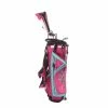 Golphin GFL+[Brand New) Graphite Ladies Right Hand Driver,7,9,SW Putter Plus Stand Bag Ladies - Golphin 2 Golphin GFL+[Brand New) Graphite Ladies Right Hand Driver,7,9,SW Putter Plus Stand Bag Ladies - Golphin -Golf Clubs Shop sh hc22924a
